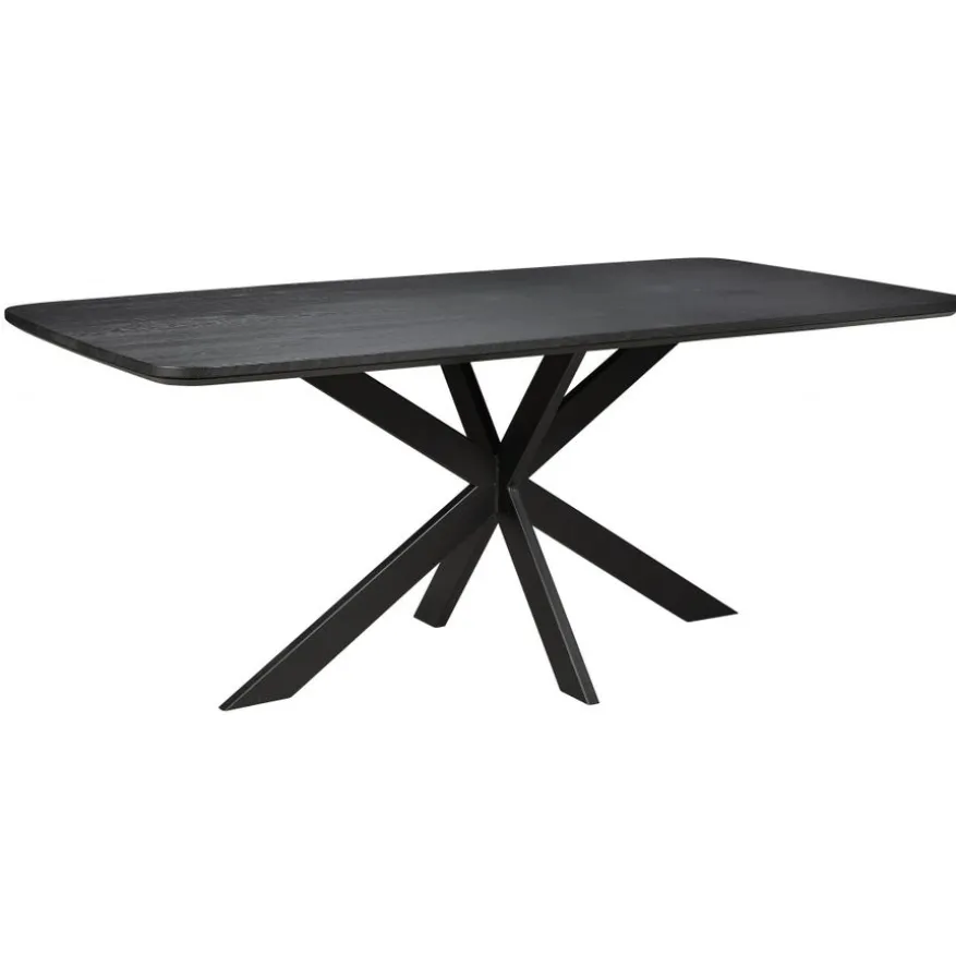 Eettafel Holendrecht Zwart - 200x100 cm