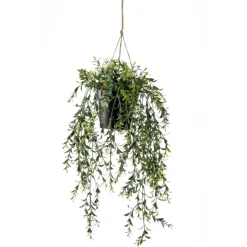 Hangplant Boxwood Groen - 50 cm hoog