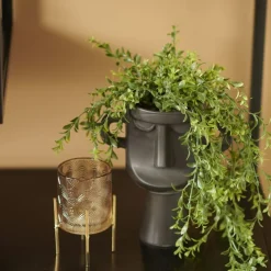 Hangplant Boxwood Groen - 50 cm hoog