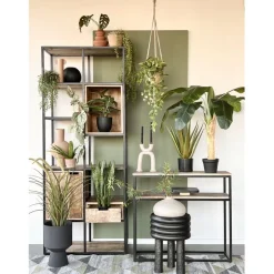 Hangplant Philodendron Groen - 90 cm hoog