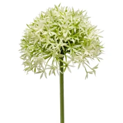 Kunstbloem Allium Groen - 62 cm