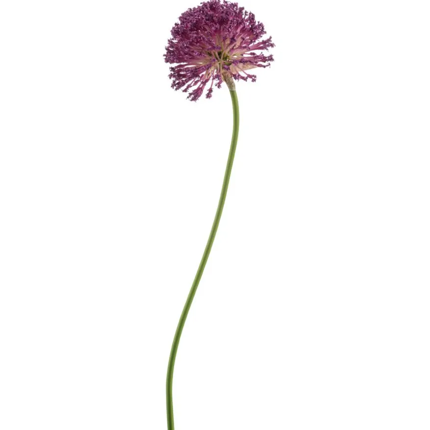 Kunstbloem Allium Paars - 72 cm