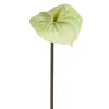 Kunstbloem Anthurium Groen - 65 cm