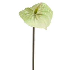 Kunstbloem Anthurium Groen - 65 cm