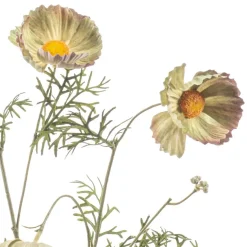 Kunstbloem Cosmos Groen - 70 cm