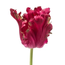Kunstbloem Tulip Donkerroze - 68 cm