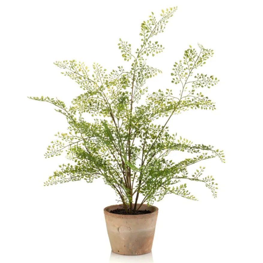 Kunstplant Adianthum Fern Groen - 65 cm hoog