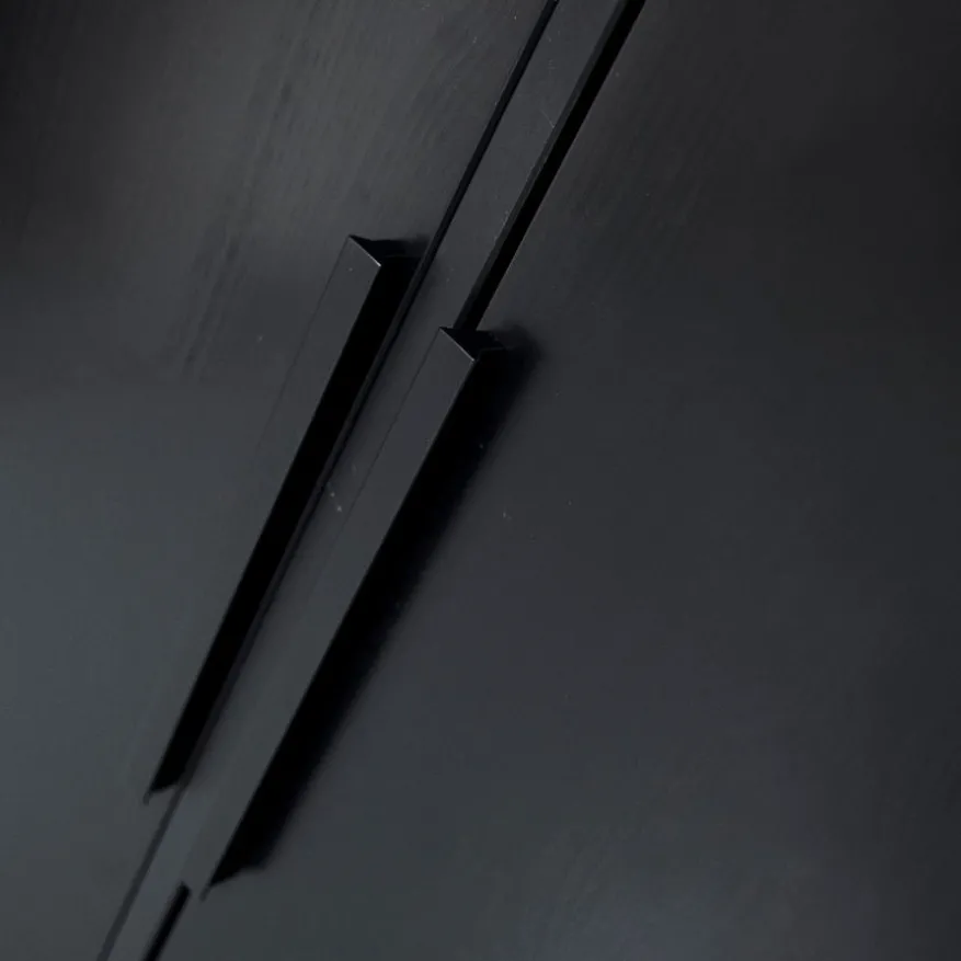 WOOOD Kledingkast Adam Zwart - 100x200x53 cm