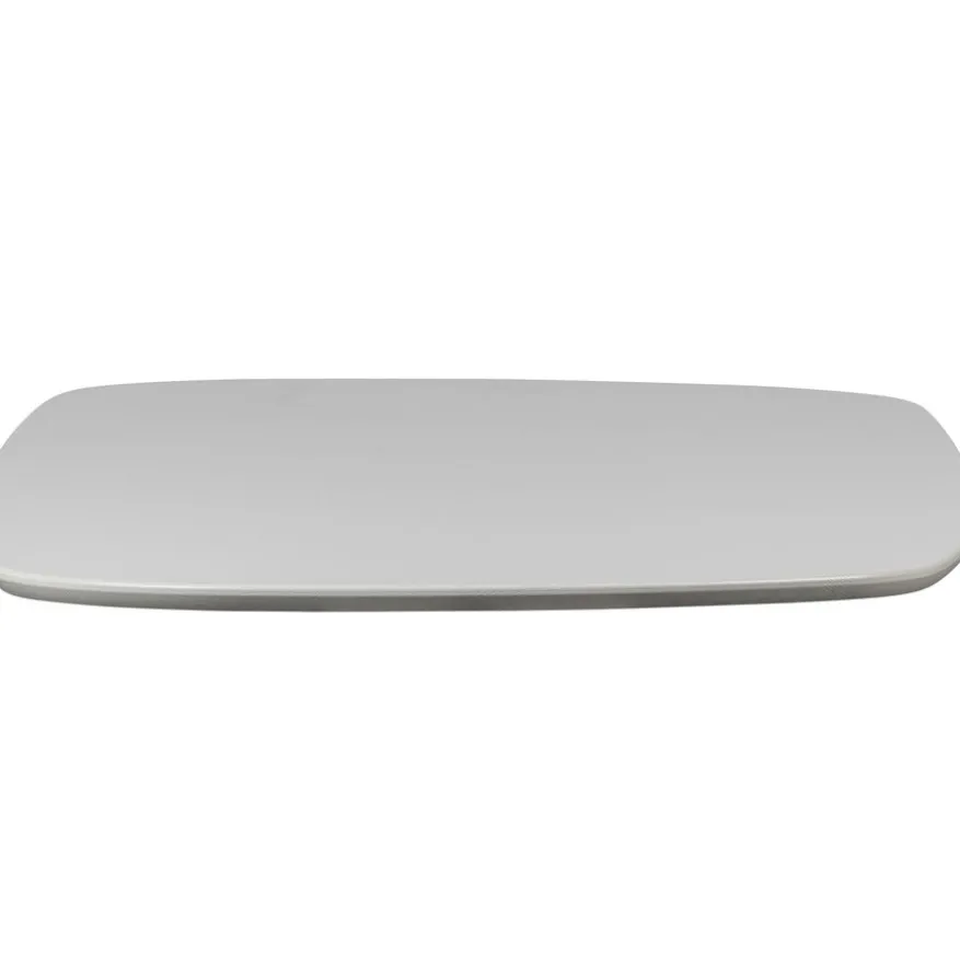 WOOOD Tafelblad Tablo Mist - 220x100 cm