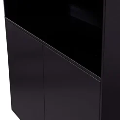 WOOOD Wandkast Finca Zwart - 110x170x40 cm